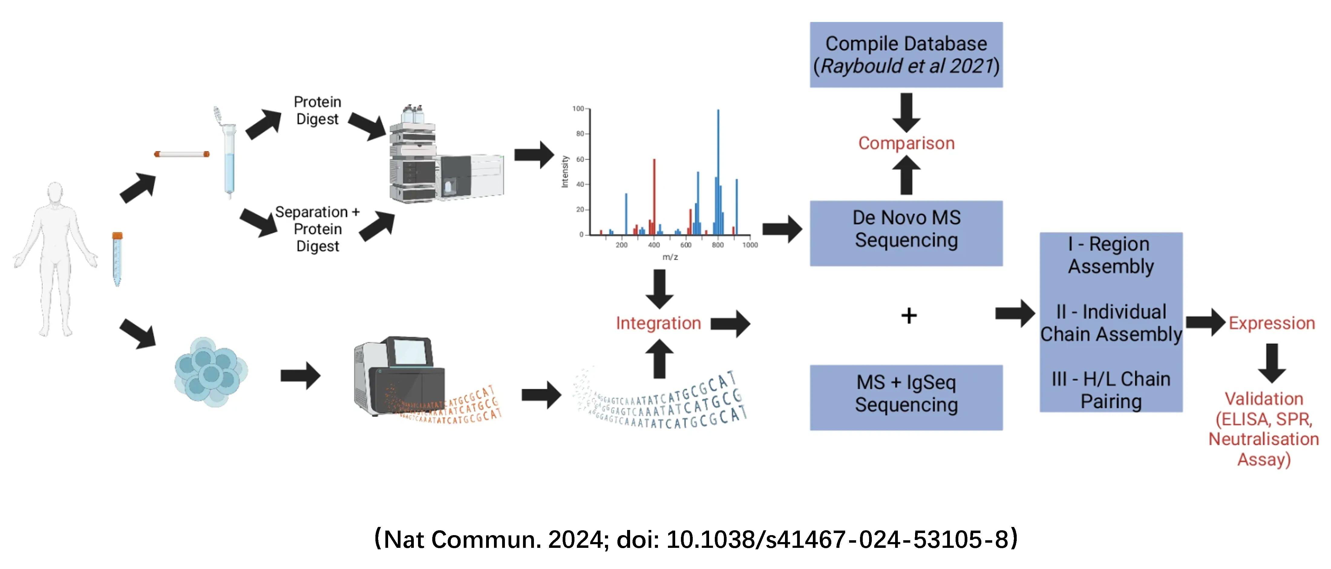 Antibody Sequencing